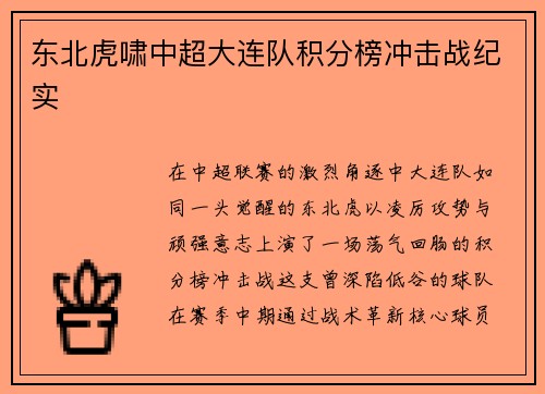东北虎啸中超大连队积分榜冲击战纪实